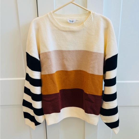 Bluivy Sweaters - NWT Bluivy Striped Multicolor Crew Neck Sweater